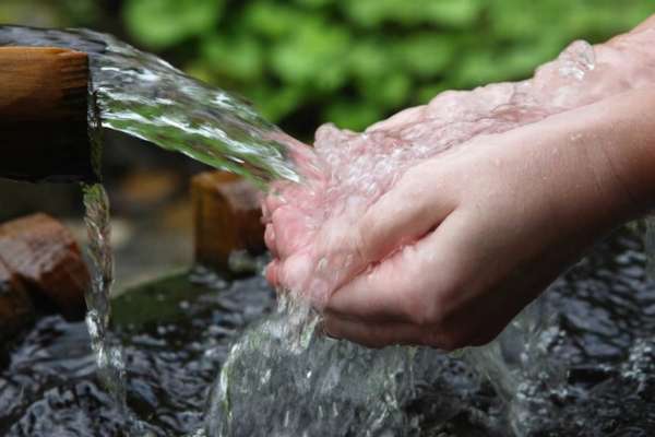 Польза родниковой воды и вред