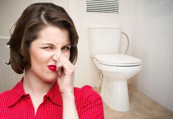 запах канализации в туалете какие причины и как устранить