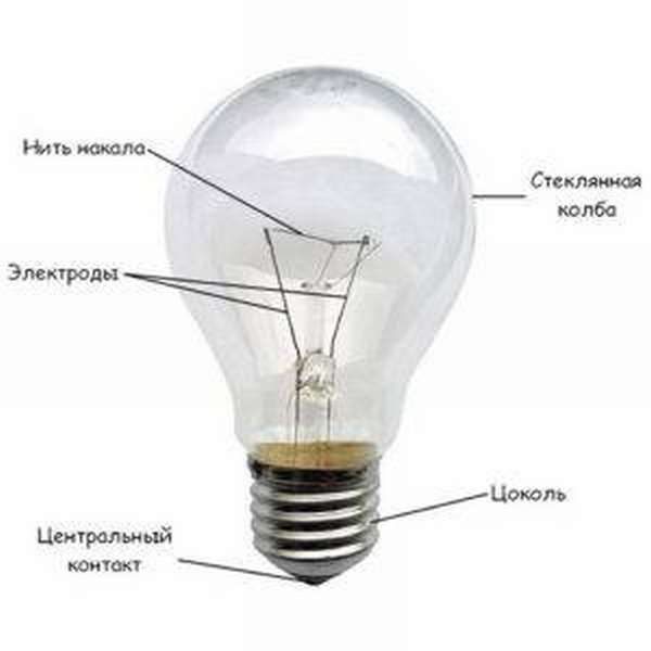 Энергосберегающие лампы: виды и цена – больше света, меньше денег!